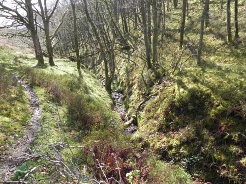 Flowing-down-Shillett-Combe-1