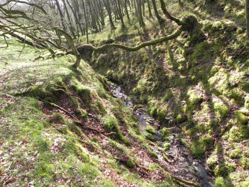Flowing-down-Shillett-Combe-2
