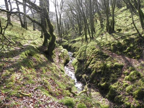 Flowing-down-Shillett-Combe-3