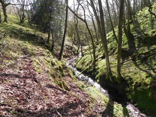 Flowing-down-Shillett-Combe-5