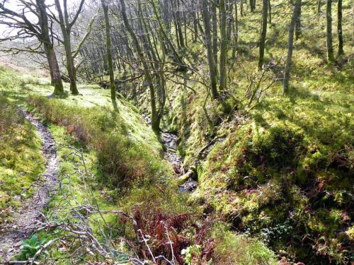 Flowing-down-Shillett-Combe-7
