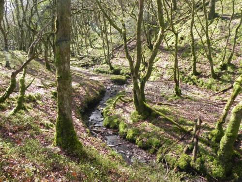Flowing-down-Shillett-Combes-1