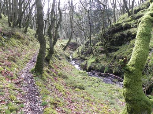 Flowing-down-Shillett-Combes-10