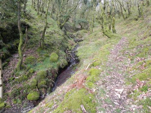 Flowing-down-Shillett-Combes-11