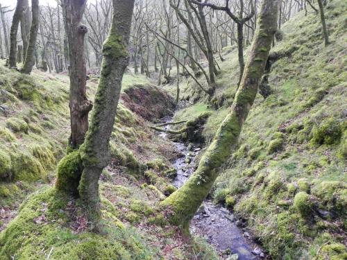 Flowing-down-Shillett-Combes-12
