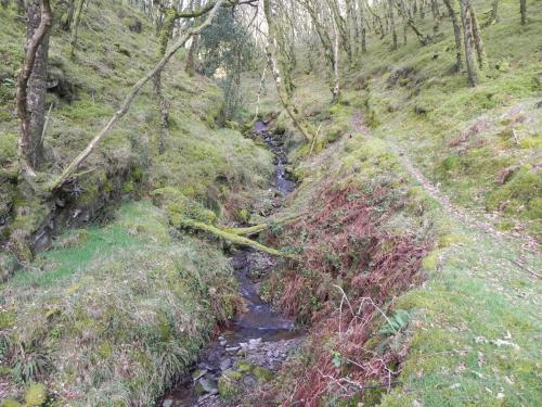Flowing-down-Shillett-Combes-13