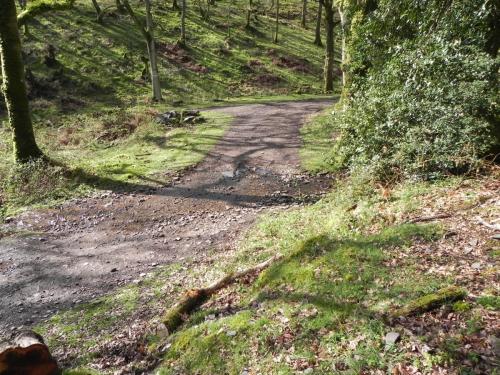 Flowing-down-Shillett-Combes-14