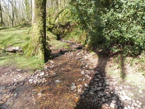 Flowing-down-Shillett-Combes-15