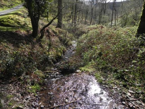 Flowing-down-Shillett-Combes-16