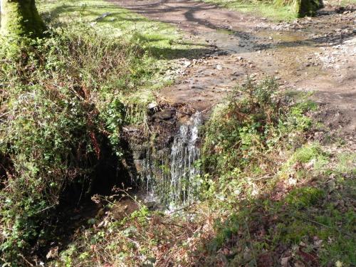 Flowing-down-Shillett-Combes-18