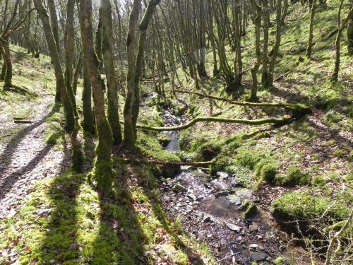 Flowing-down-Shillett-Combes-2