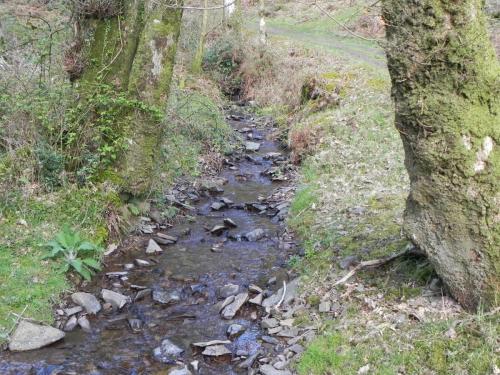Flowing-down-Shillett-Combes-21
