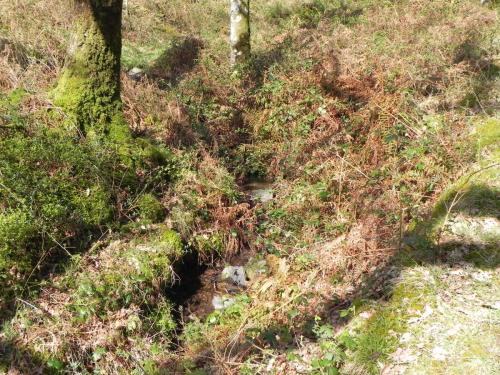 Flowing-down-Shillett-Combes-22