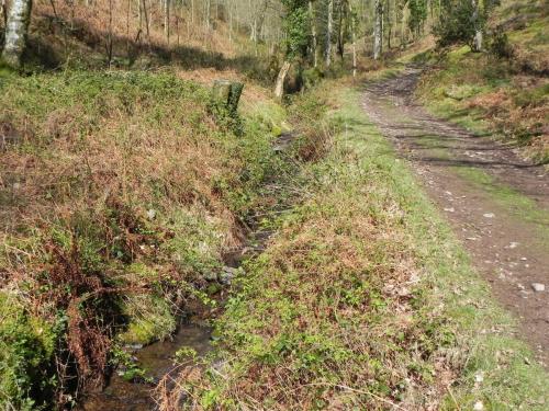 Flowing-down-Shillett-Combes-23