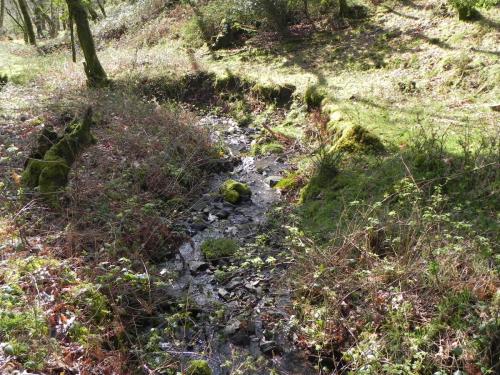 Flowing-down-Shillett-Combes-24