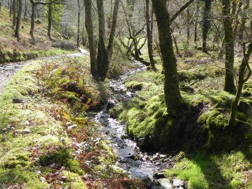 Flowing-down-Shillett-Combes-25