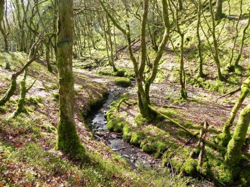 Flowing-down-Shillett-Combes-26