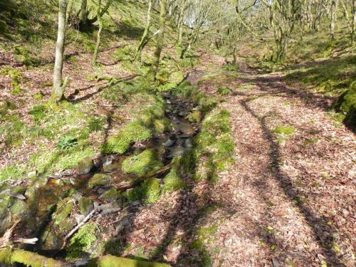 Flowing-down-Shillett-Combes-3