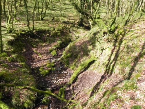 Flowing-down-Shillett-Combes-4