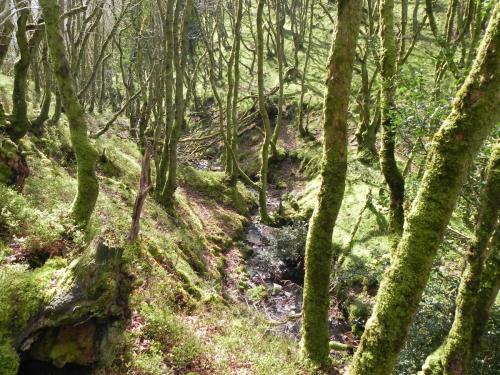 Flowing-down-Shillett-Combes-5