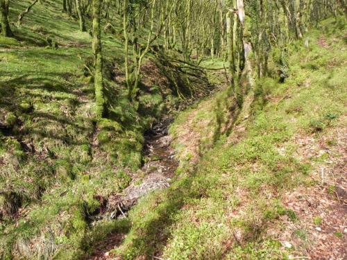 Flowing-down-Shillett-Combes-6