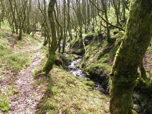 Flowing-down-Shillett-Combes-7