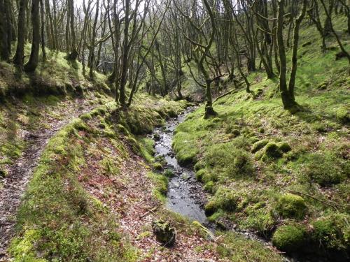 Flowing-down-Shillett-Combes-8