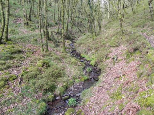 Flowing-down-Shillett-Combes-9
