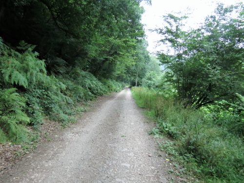 Haddeo-Valley-54