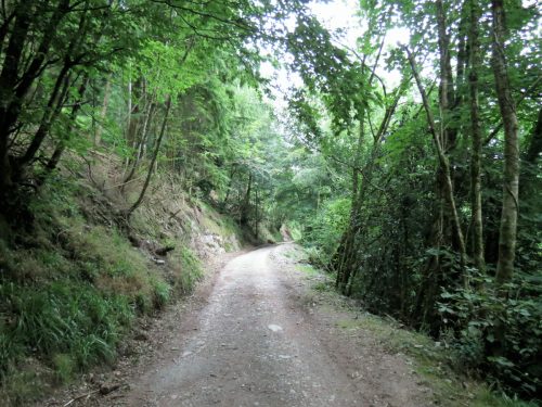 Haddeo-Valley-60