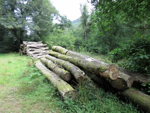 Haddeo-Valley-62