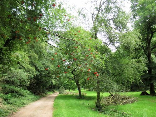 Haddeo-Valley-64
