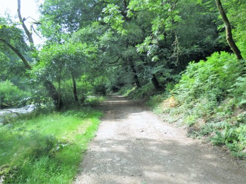 Haddeo-Valley-71