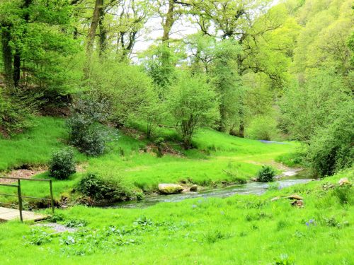 Haddeo-Valley-91