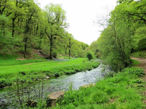 Haddeo-Valley-92