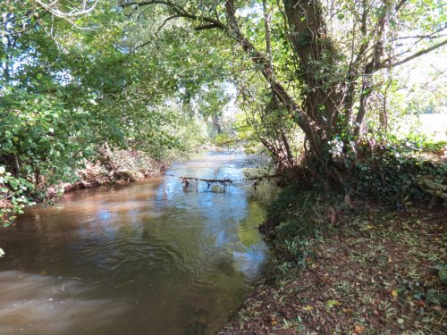 Halse-Water-3