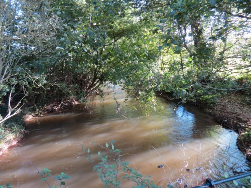 Halse-Water-4