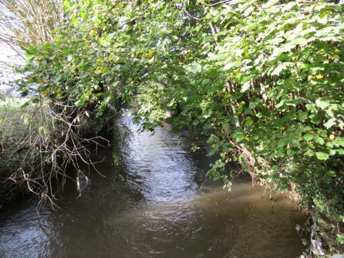 Halse-Water-5