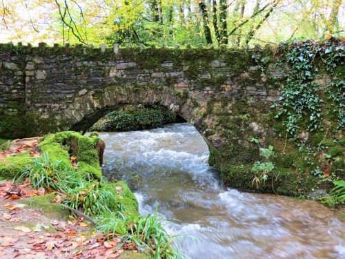 Highercombe-Waters-at-Marsh-Bridge-10
