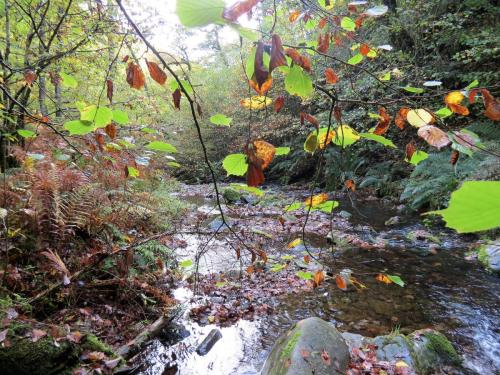 Horner-Water-Autumn-17