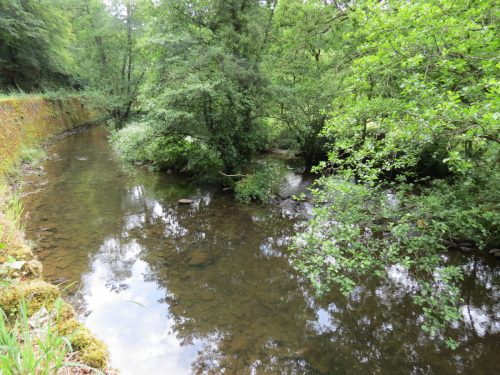 Kent-Mill-Weir-22