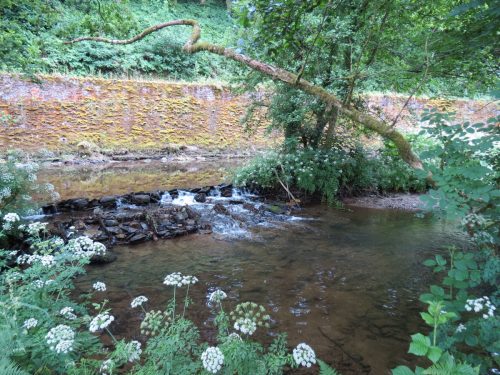 Kent-Mill-Weir-3