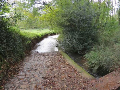 Lutley-Bridge-Ford-3