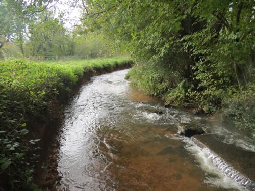 Lutley-Bridge-Ford-6