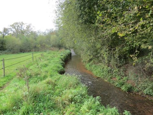 Lutley-Bridge-Ford-7