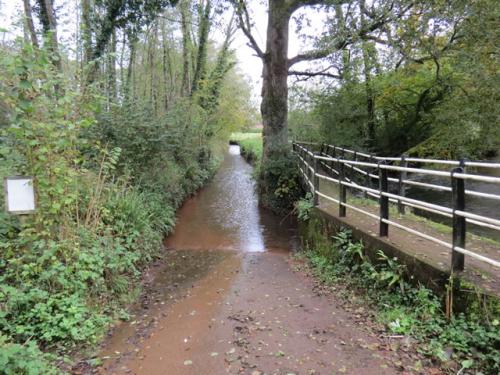 Lutley-Bridge-Ford-8