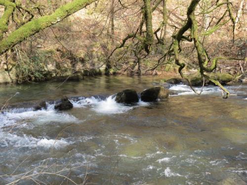 Marsh-Bridge-to-Castle-Bridge-March-2015-25