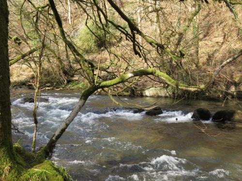 Marsh-Bridge-to-Castle-Bridge-March-2015-26