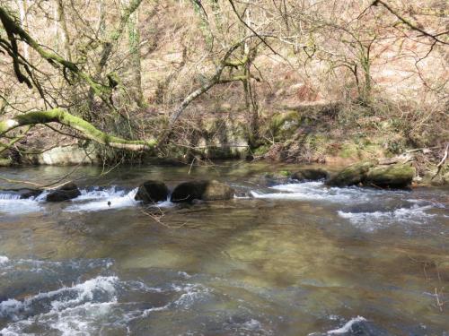 Marsh-Bridge-to-Castle-Bridge-March-2015-27