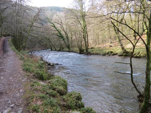 Marsh-Bridge-to-Castle-Bridge-March-2015-33